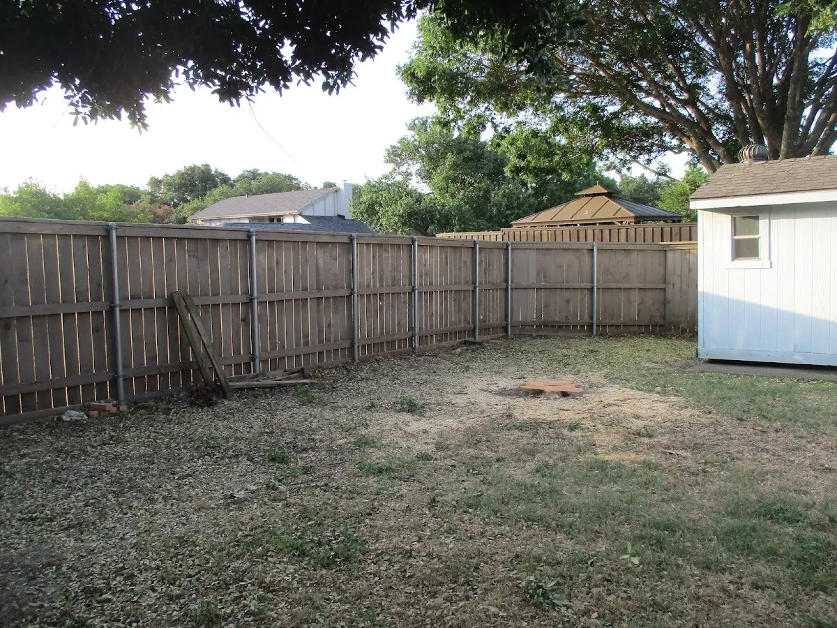 Cleared yard after professional tree removal in Grassy Butte